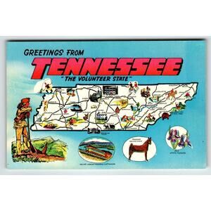 Postcard Greetings From Tennessee Map Chrome Volunteer State Walking Horse Iris